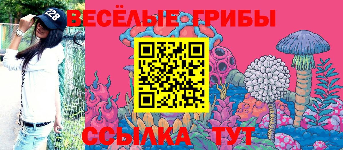 Галлюциногенные грибы мухоморы  Вход с VPN  Зима  Псилоцибиновые грибы ЛСД 