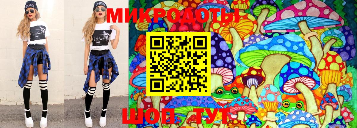 Псилоцибиновые грибы мицелий Зима